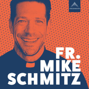Fr Mike Schmitz